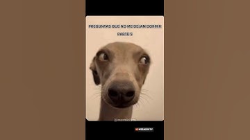 Preguntas que no me dejan dormir 💀