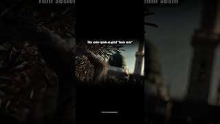 Tüm Kalabalıklar Içinde En Güzel Sensin.🌹 Resimi