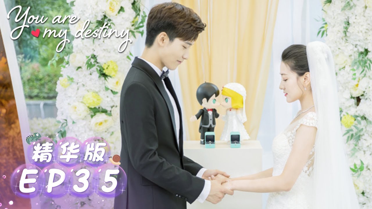Highlights【你是我的命中注定 You Are My Destiny】EP35 | 嘉欣和W先生相拥，析翊伤心离去