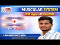 Muscles | Muscle Contraction Mechanism | Sliding Filament Theory | Lab Assistant  Biology |Umesh sir