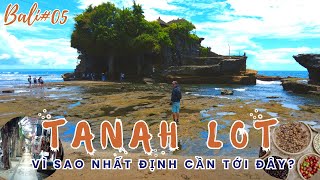 [Eng Sub] Exploring Tanah Lot Temple, Civet Coffee Making, and Kuta Night Market | Travel Bali #05