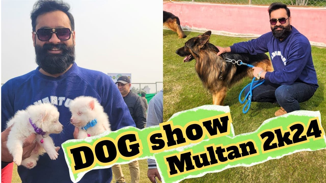 biggest-dog-show-in-multan-dha-2k24-youtube
