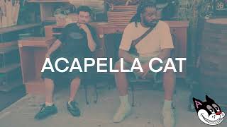 MIKE & Wiki - The Mayors A Cop Acapella 129 BPM - 4K Acapella Cat