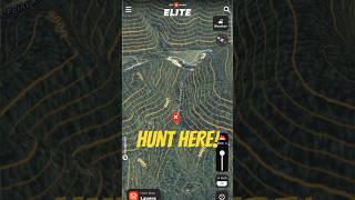 Why Bucks Love This Spot Thermal Hub Hunting Tip