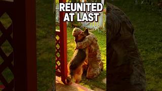Soldier Reunites With His K9 Partner ❤️‍🩹