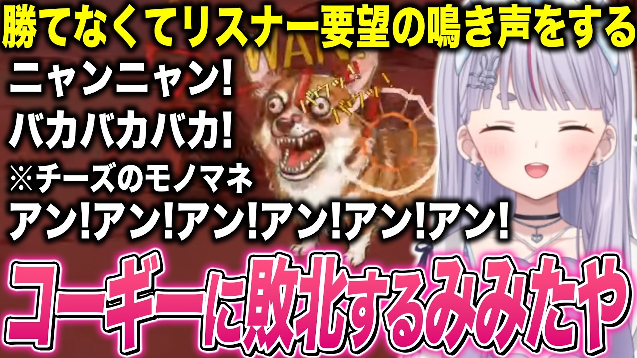 コーギーに勝てなさすぎてリスナー要望の鳴き声をする小型犬みみたやが可愛すぎたw【兎咲ミミ/ぶいすぽ切り抜き/ワンワンバトル】