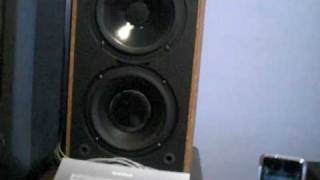 Polk Audio Monitor 5jr+ Bass Test