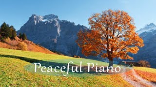 Whispers of Serenity: A Journey to Calm, Tranquil Harmony