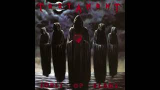 Testament - Malpractice