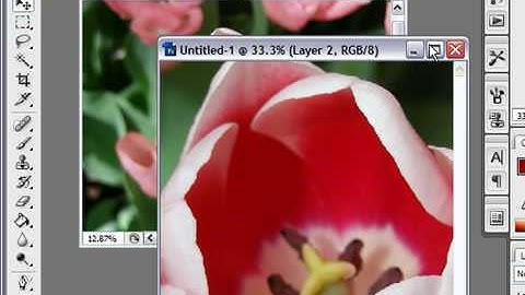 Apply a Blend Mode in Photoshop CS3