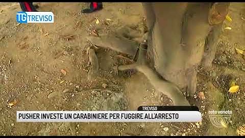 TG TREVISO (05/02/2018) - PUSHER INVESTE UN CARABINIERE PER FUGGIRE ALL'ARRESTO