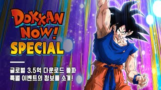 DOKKAN NOW! SPECIAL (한국어)