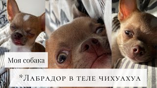 :  -  ? |    |  Ѩ  