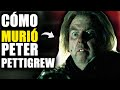 La BRUTAL Muerte de Peter Pettigre (QUE NO VIMOS en las Películas) - Harry Potter Explicado