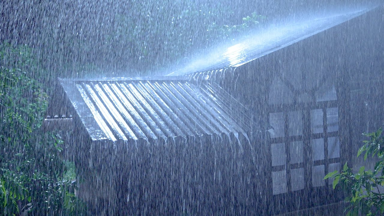 Fall into Deep Sleep with HEAVY RAIN Sounds on Metal Roof and THUNDERSTORM in Rainforest at Night