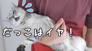 性格が真逆な猫２匹の甘え方の違い
