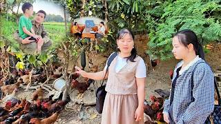 Hoang Manh confiscated all of Le's timber. Dien visited the chicken farm for the first time. screenshot 1