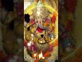 Jai Ganesh Jai Ganesh deva // Ganesh aarti #ganeshaarti #ganeshbhajan #ganeshaarti #bhajan #shorts