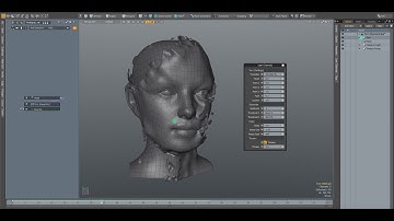 Torn (Assembly) | MODO 12