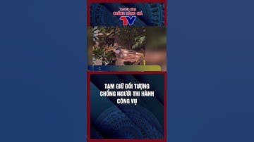 TẠM GIỮ ĐỐI TƯỢNG CHỐNG NGƯỜI THI HÀNH CÔNG VỤ