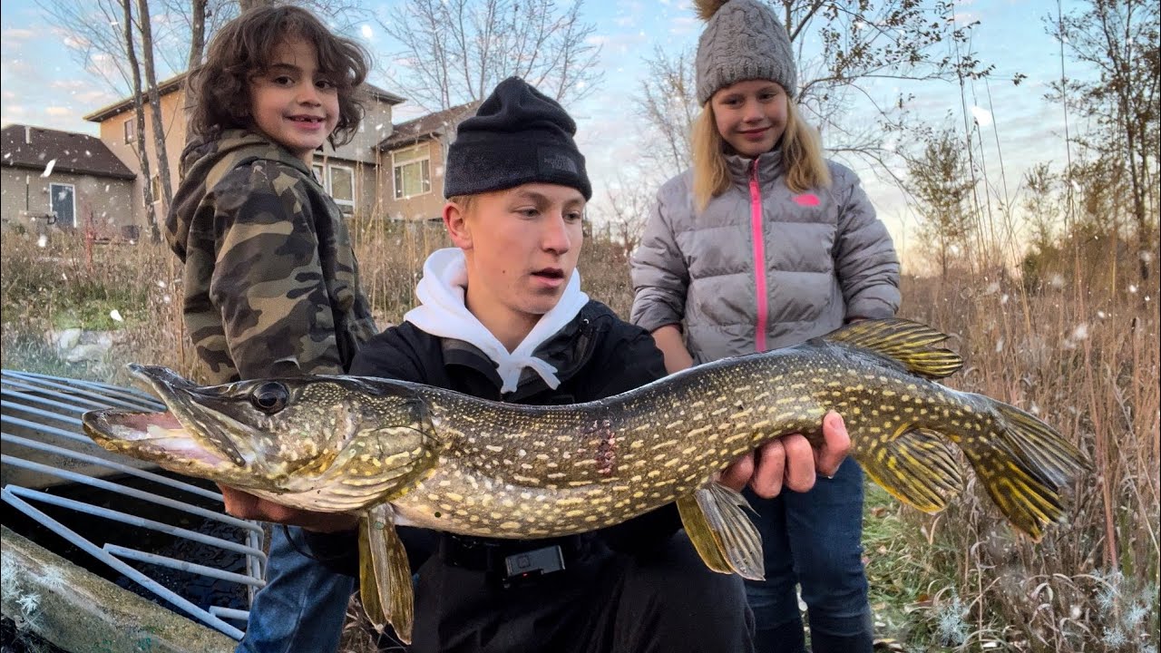 BIG Fish were STACKED Under this FREEZING Sewer! (SIGHT-FISHING)