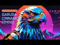 Linux Garuda Cinnamon 251002 on WMWare Workstation 17 | Step-by-Step Guide (2025)