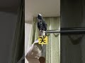 お誕生日に持ち歌歌う!