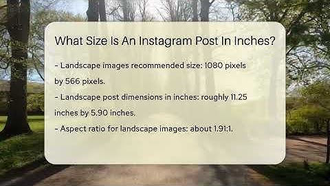 What Size Is An Instagram Post In Inches? - Everyday-Networking