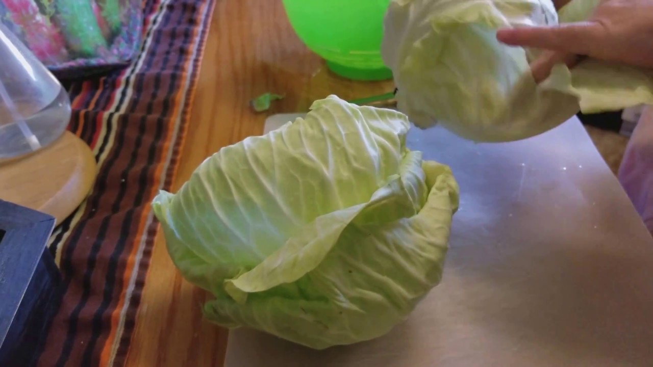 Cabbage Chips in the Dehydrator! YouTube