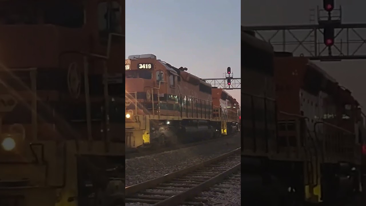 The most INSANE hornshow ever from DGNO 3419! (November 2022)