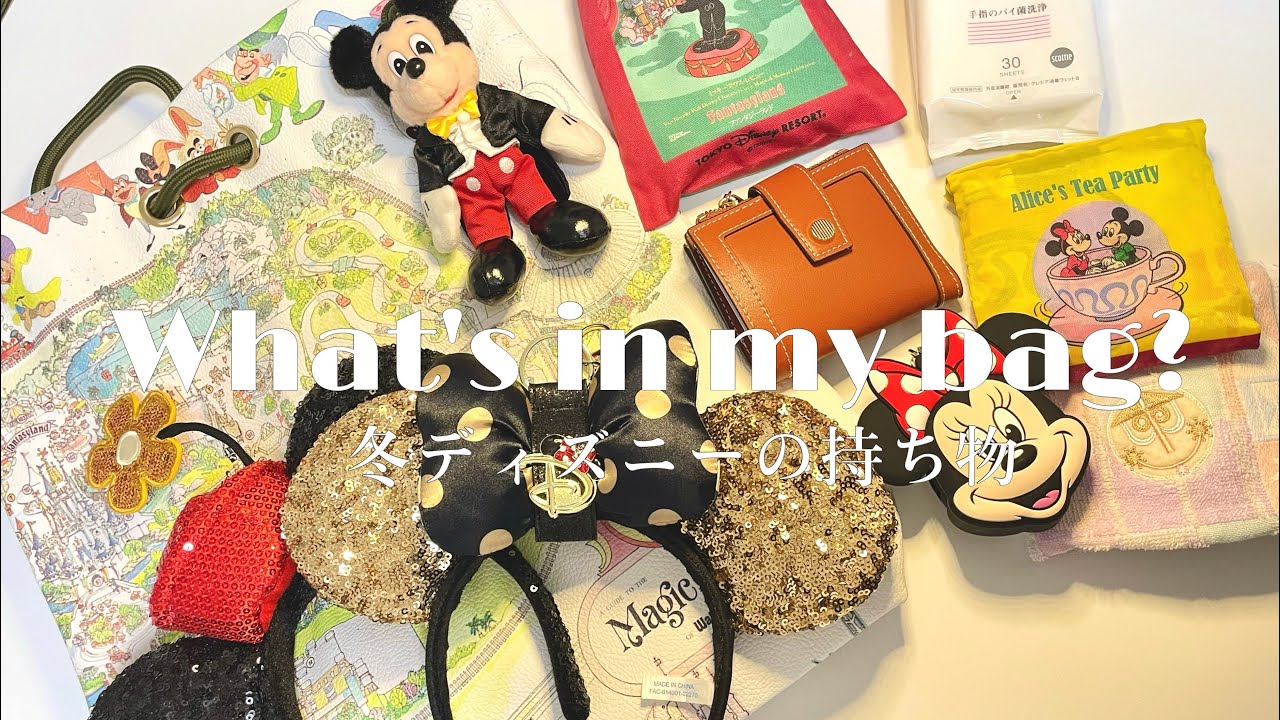 【what's in my bag?】冬ディズニーに行く時の持ち物紹介【カバンの中身】