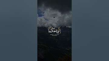 قال لا تخافا إنني معكما أسمع وأرى | تلاوة جميلة من القارئ محمد ديبيروف 🤍 | قرآن كريم