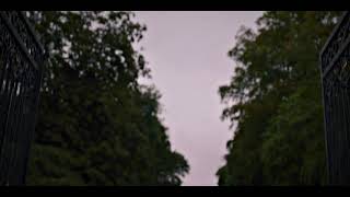 Bloom-Dont Let Me Down