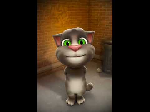 Talking tom mengucapkan selamat hari raya