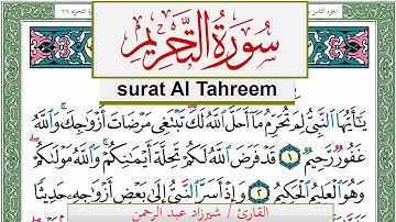 سورة التحريم شيرزاد عبد الرحمن طاهر Surah Al Tahreem Sherzad Taher برواية حفص عن عاصم