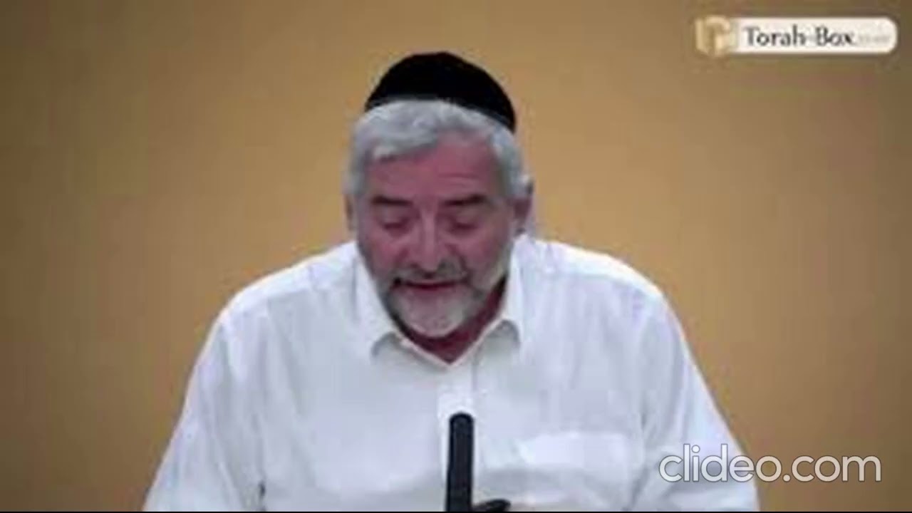 Daf HaYomi - Zevahim 13