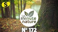 La Minute Nature - YouTube