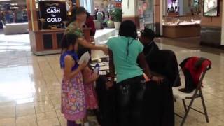 Celebrity Multicultural heritage festival at Mount Shasta Mall Net Worth