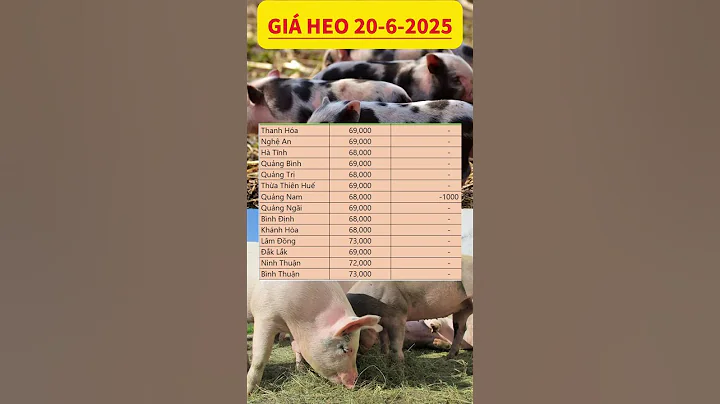 Giá heo hơi hôm nay 20/6/2025: Giá heo hơi giảm nhẹ tại một số địa phương