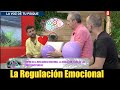 Regulación Emocional. Inteligencia emocional explicada por Jose Feliciano Borrego.
