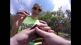 Marriage proposal while hiking