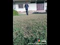 Likee App Video For Me Likee App Video For Me