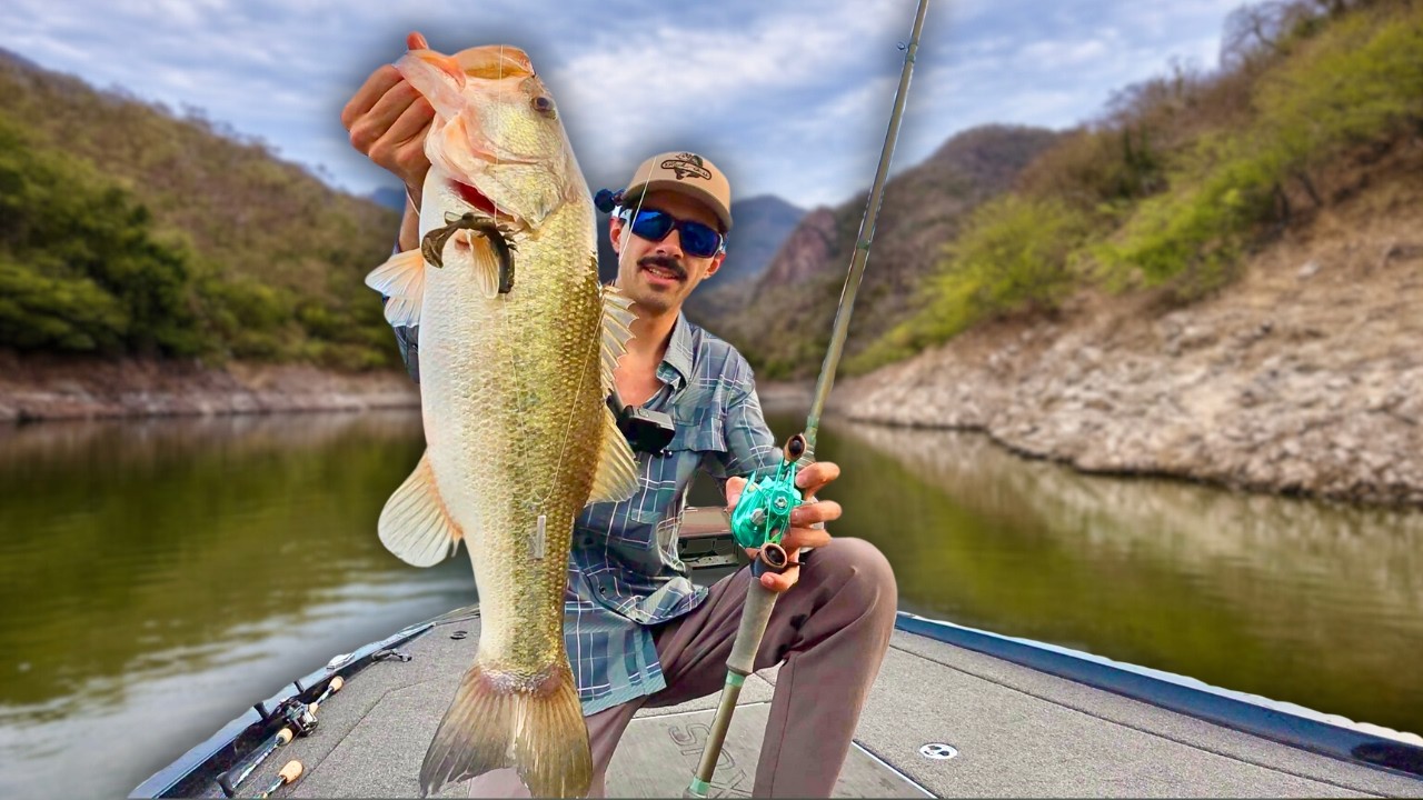 Esta Presa está INFESTADA de lobinas! -Descifrando el patrón de pesca en Aguamilpa