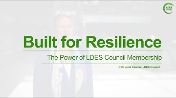 Built for Resilience: The Power of LDES Council Membership