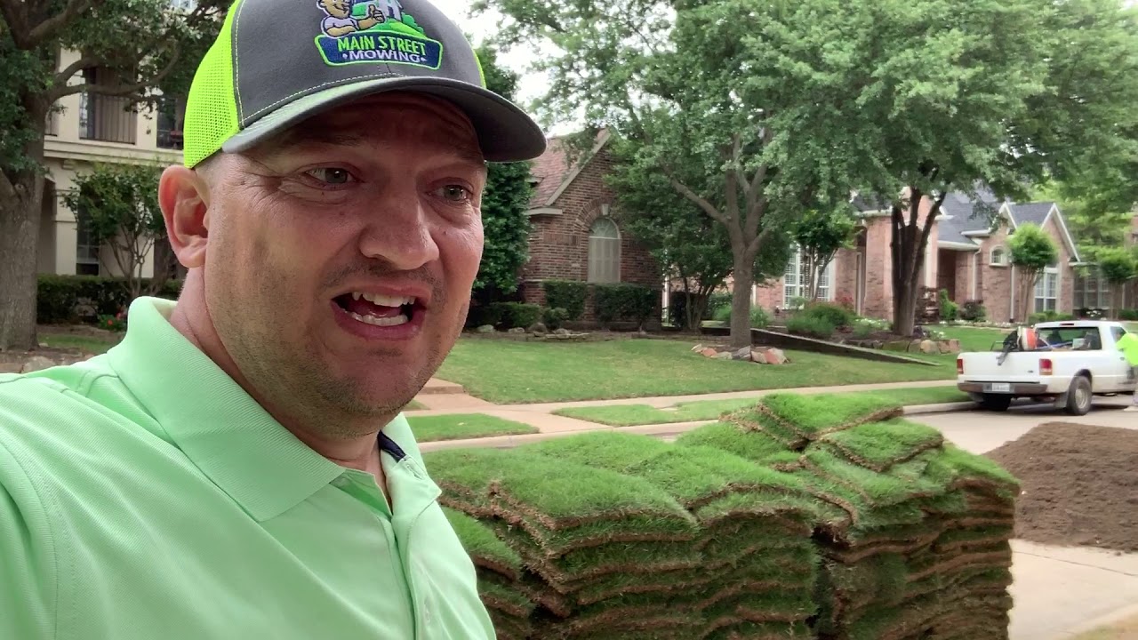 Which Type of Zoysia Grass is Best for Your DFW Lawn