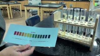 ph lab