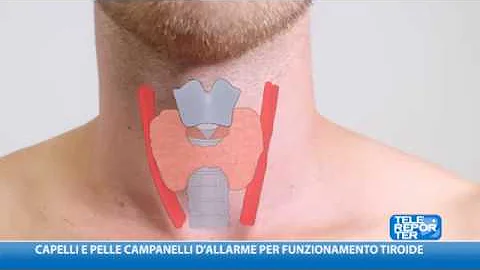 Quali esami vanno fatti per la caduta dei capelli?