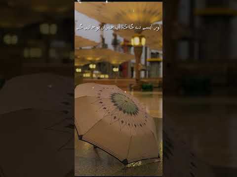 دینے والی ذات صرف میرے مالک کی ہے ❤️اللّٰہ ❤️