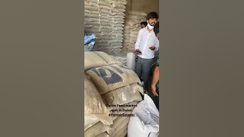 How to Export Cattel Feed From India..|| Practical Cattle feed market Visit in Dubai #dubai
