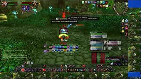 ZG - Mandokir - Multiboxing - 20 chars - WoW Classic